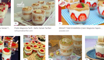 kolay magnolia tarifi 1