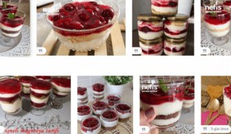 visneli magnolia tarifi